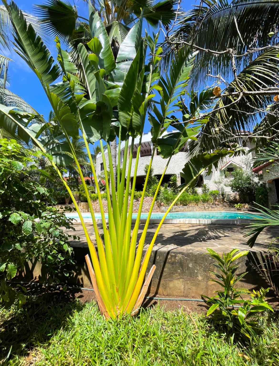 Tembo Village Watamu Zewnętrze zdjęcie